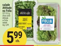 Marché Adonis SALADE ATTITUDE OU FOLIA | ATTITUDE OR FOLIA SALADS offer