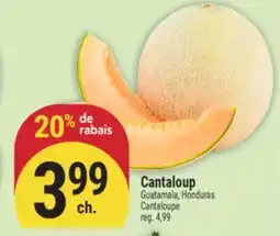 Marché Adonis CANTALOUP | CANTALOUPE offer
