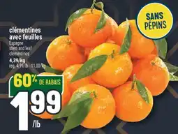 Marché Adonis CLÉMENTINES AVEC FEUILLES | STEM AND LEAF CLEMENTINES offer