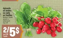 Marché Adonis Épinards en bottes ou radis en feuilles | Spinach or radish bunch offer