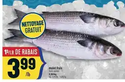 Marché Adonis MULET FRAIS | FRESH MULLETS offer