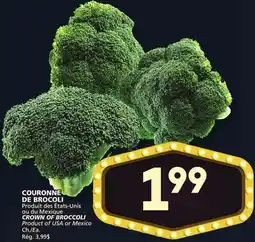 Marches Tradition CROWN OF BROCCOLI offer