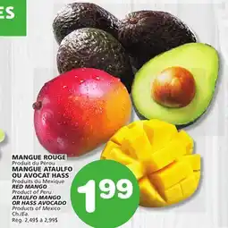 Marches Tradition RED MANGO OR ATAULFO MANGO OR HASS AVOCADO offer