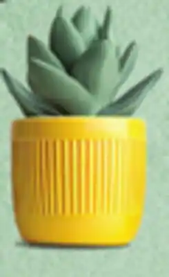 IGA BABY PLANTS offer