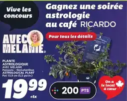 IGA ASTROLOGICAL PLANT offer