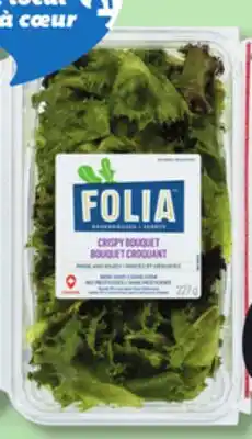 IGA FOLIA (227) CRISPY BOUQUET, CRUNCHY LETTUCE OR SWEET & SPICY MIX offer