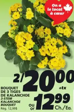 IGA 3-STEM KALANCHOE BOUQUET offer