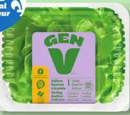 IGA GEN V GREENHOUSE LIVING BUTTER LETTUCE OR RED RADISHES offer