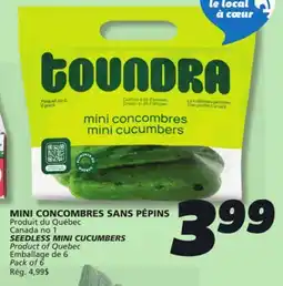 IGA SEEDLESS MINI CUCUMBERS offer