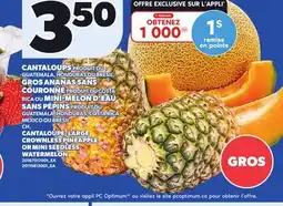 Provigo CANTALOUPE, LARGE CROWNLESS PINEAPPLE OR MINI SEEDLESS WATERMELON offer
