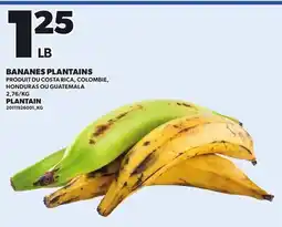 Provigo BANANES PLANTAINS offer