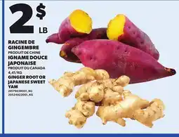 Provigo GINGER ROOT OR JAPANESE SWEET YAM offer