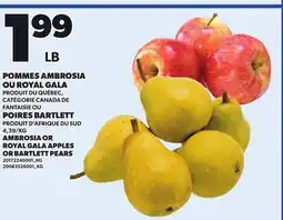 Provigo POMMES AMBROSIA OU ROYAL GALA OU POIRES BARTLETT offer