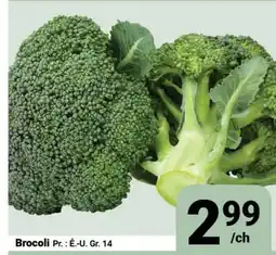 Pasquier Brocoli offer