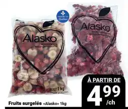 Pasquier Fruits surgelés Alasko offer