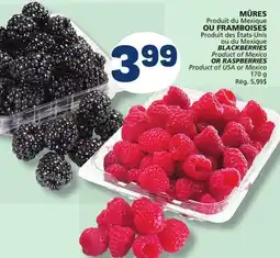 Marché Bonichoix BLACKBERRIES OR RASPBERRIES offer