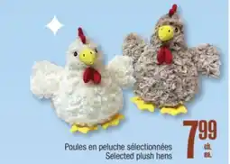 Jean Coutu Selected plush hens offer