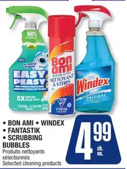 Jean Coutu BON AMI, WINDEX, FANTASTIK, SCRUBBING BUBBLES Selected cleaning products offer