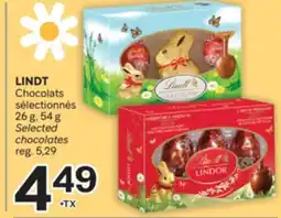 Brunet LINDT Chocolats sélectionnés offer