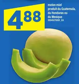 Maxi MELON MIEL offer