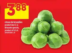 Maxi CHOUX DE BRUXELLES | Brussels sprouts offer