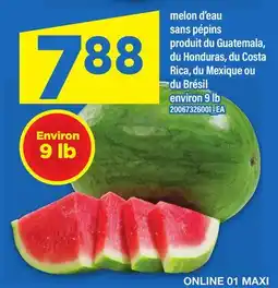 Maxi MELON D'EAU SANS PÉPINS offer