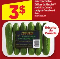 Maxi MINI CONCOMBRE DÉLICES DU MARCHÉ, 6 un offer