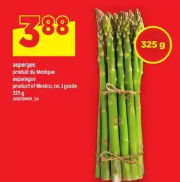 Maxi ASPERGES | ASPARAGUS offer