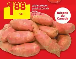 Maxi PATATES DOUCES offer