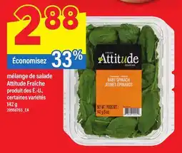 Maxi MÉLANGE DE SALADE ATTITUDE FRAÎCHE offer