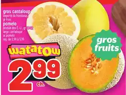 Metro GROS CANTALOUP | LARGE CANTALOUPE offer