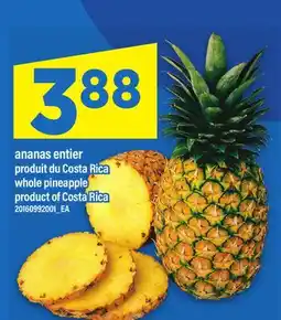 Maxi ANANAS ENTIER / WHOLE PINEAPPLE offer
