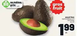Metro AVOCAT HASS | HASS AVOCADO offer