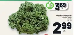 Metro CHOU FRISÉ VERT (KALE) | GREEN KALE offer
