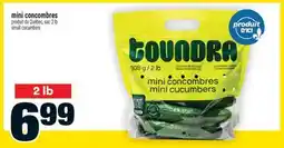 Super C Mini concombres | small cucumbers offer