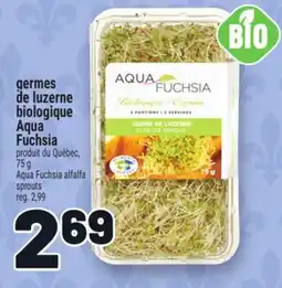 Metro GERMES DE LUZERNE BIOLOGIQUE AQUA FUCHSIA | AQUA FUCHSIA ALFALFA SPROUTS offer
