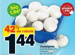 Super C Champignons | mushrooms offer