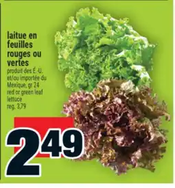 Super C laitue en feuilles rouges ou vertes | red or green leaf lettuce offer