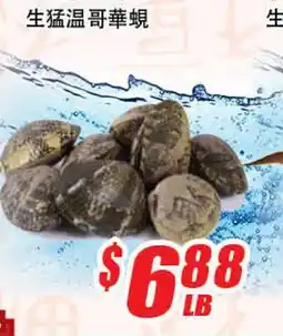 WinCo Food Mart 生猛温哥華蜆 offer