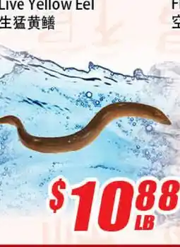 WinCo Food Mart Live Yellow Eel offer