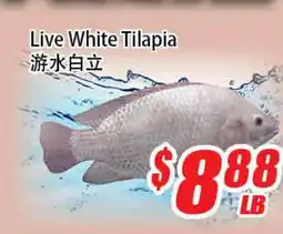 WinCo Food Mart Live White Tilapia offer