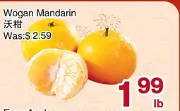 First Choice Supermarket Wogon Mandarin offer