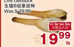 First Choice Supermarket Live Geoduck offer
