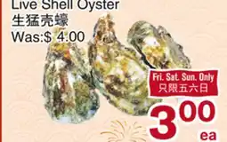 First Choice Supermarket Live Shell Oyster offer