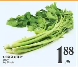 Al Premium Food Mart CHINESE CELERY offer