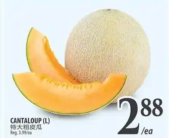 Al Premium Food Mart CANTALOUP (L) offer