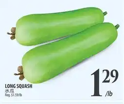Al Premium Food Mart LONG SQUASH offer