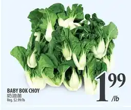 Al Premium Food Mart BABY BOK CHOY offer