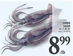 Al Premium Food Mart JUMBO SQUID offer