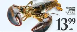 Al Premium Food Mart CANADIAN LOBSTER offer